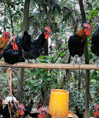 [����]��ծ�����򣬺��Ϲ��ڽ����ɽͷ������ҵ��������ȥ