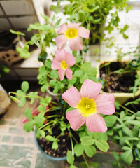 ������5��Ʒ���ý������ӣ��ﲥ��ɹ���ѿ��