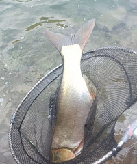 ������City Work������Country hide