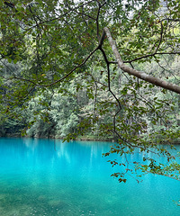 ҹ춼ȥˣȥС߿׺ǧկ