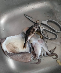 ɰ���hī�㣬��һ��һ