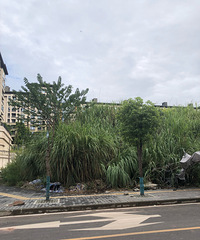 [̽��]���ϵĽ���ӡ�¡���巾��С����ж������Ա���ȱ��