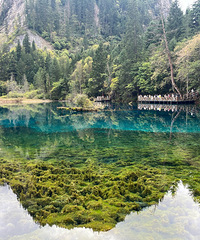 ���ξ���������ģ�����·;�еĹ��̣����İ���������