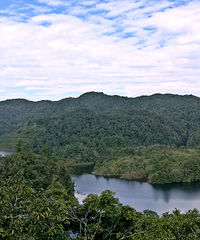 ����ɽ���ڴ�شų�ǿ���쳣�����󣡵����ж����