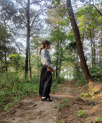 36162CMСûԼԱ飬ϣ32~46