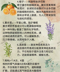 据说多闻这7种香味,能够提升226%的记忆力