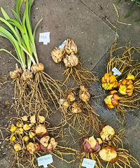 �����ڰٺ������޷��԰Σ�9��Ʒ���Ƽ���4��