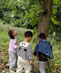 [��ˣ]�����ϼҽ��壺���⡢�Ȳ衢�����ӡ����޴���̽��