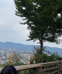 最近感冒咳嗽的好多,你们发现了吗