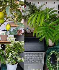 �����ˣ����ڿ�������̨����