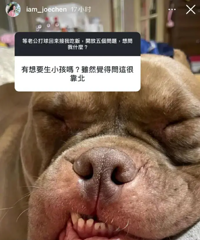 陈乔恩回应被催生
