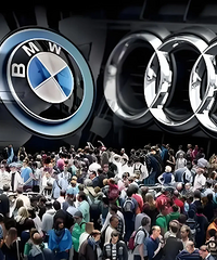 Ϊʲô�����˾������ʽ硢ε���������ȱ��ۡ������µϸ������ӣ�