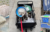 ֱ����������ȫ���̣���ʱ8Сʱ��������Ҳ����