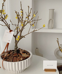 Ϊ�˶���������������39���˿�6����׮��÷