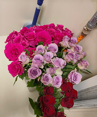 ��ǰ���50֦õ�嵽���ˣ�����һ�Ѳ�39Ԫ