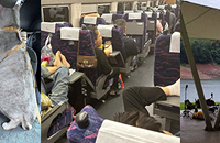 ��������ô�����ˣ�Ϊɶ����80%����ѡ���Լ���