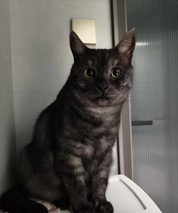 ���ǵ�èҲ�������ϲ����粽���룬��ϲ�����˽�