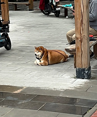 ��Ȯ�ֳɡ�������������������Ŀ��60�������