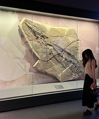 93162CMװҵ飬ϣԷ170