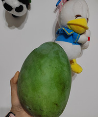 �������â������Ц���ã�3����10����ֱ���ް԰�