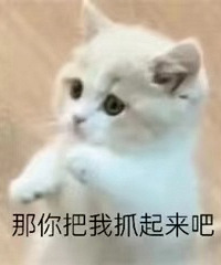 [����]��˵�ܶ�Ů��������ɧ��������ҳ������У�������μ���