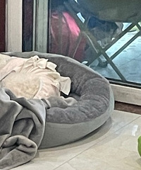 [ֱ��]��������ȫ���̣�������Һ��ʱ8Сʱ�����������