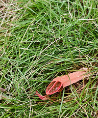 �찡���⾿���Ǹ�ɶֲ����������β��