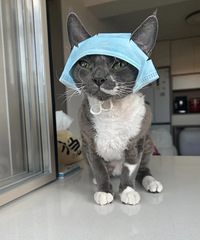 èè�����÷�����һ�����־��ܸ㶨