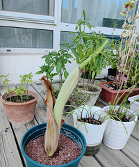 ���������������ĺ��ܳ�