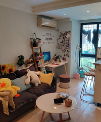 ��СС���Ӱ����ײ˼ۼ۰�