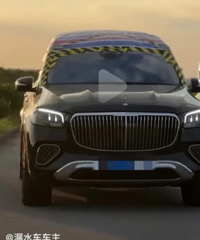 ͬʱӵ�����ͺպ��Ա���215����©������80�������겼άȨ