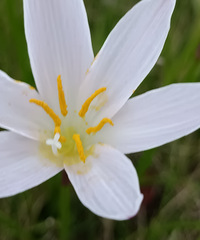 90갮Լݺ¶Ӫĸ飬ϣԷ87~95