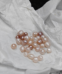 [�ֹ�]��������������գ������ָ����������100�͸㶨��