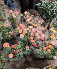 [����]�ͻῳ�۵�ͬ��һ��仨�У�����2���¼���15Ԫ