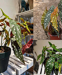 ����һ��������ﺣ�ģ���Ȼ�ܳ���ô��