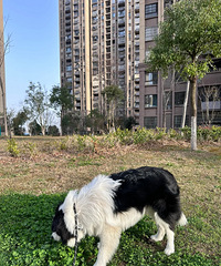 ���˱�����ÿ�춼�ڶ��Ƕ��£����ǵĹ���Ҳ������