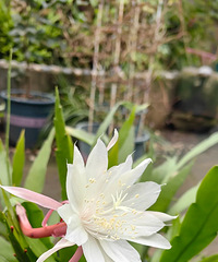 СҶ꼻��������㣬���쿪�����쿴��̫���˾�ϲ��