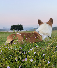 94��171CM��ֻ�»���С�����飬�����̲��Ⱦ�