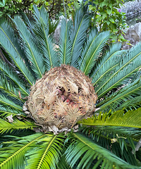 ��һ�ο�������˵������������ܸ��������