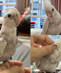 ճ��С�񣬵��ҵ�һ���ϲ��վ�˼��