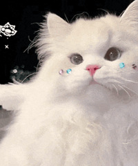 ������ֵ������Ѷ��Ƶ�꿨128���������Ļ�����˪2��152