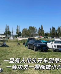 ���Ǵ��޳���¶Ӫ���������е����ʰ�