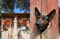 �������ֻ�����ˣ��ö���ר��ȥ�����򿨿���