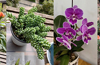 �仨�м�©��ս��Ʒ�����ۺ�15Ԫ����2���¼�