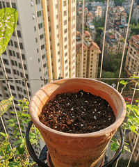 ѧУ���Ŀκ���ҵ���۲�޽�����ӣ�û�뵽ȫ��ѿ��