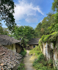 去山村里感受秋天|龙王村·小环线攻略