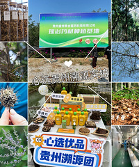 内测有效!从江瑶浴液开团!助眠祛湿、排毒养颜等,快试试