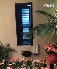 花费了两年心血,打造出一个充满少女心的家