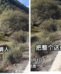 热搜上毁三观的情侣路边野餐事件