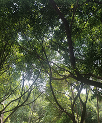 92178CM20Ĺʦ飬ϣԷƼ